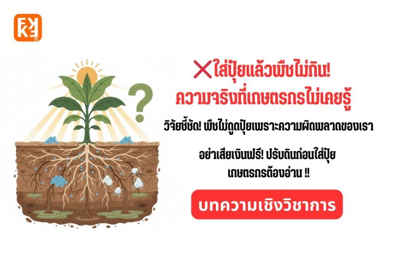 รูปภาพประกอบ