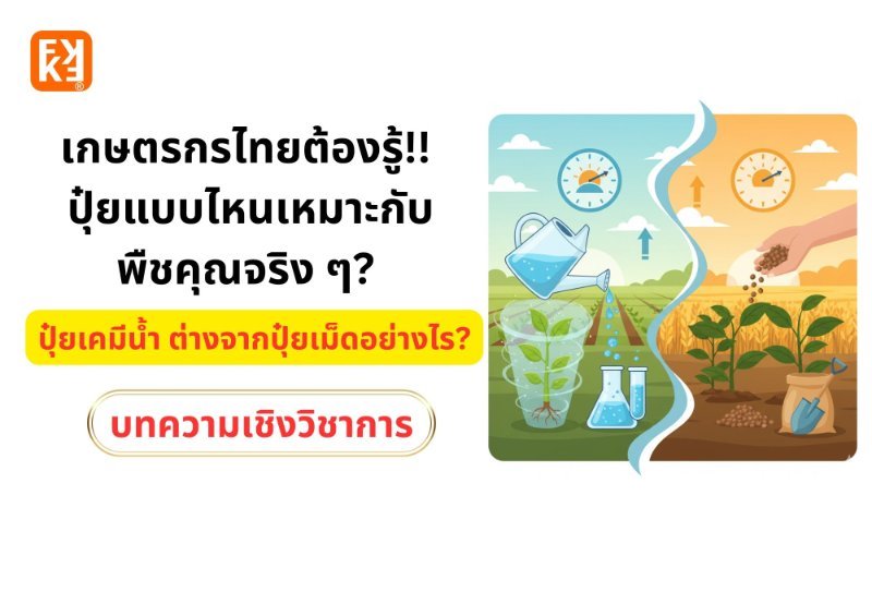 รูปภาพประกอบ