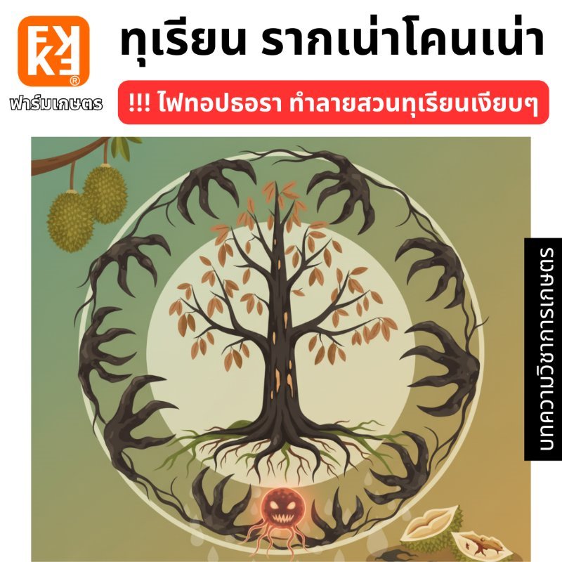 รูปภาพประกอบ