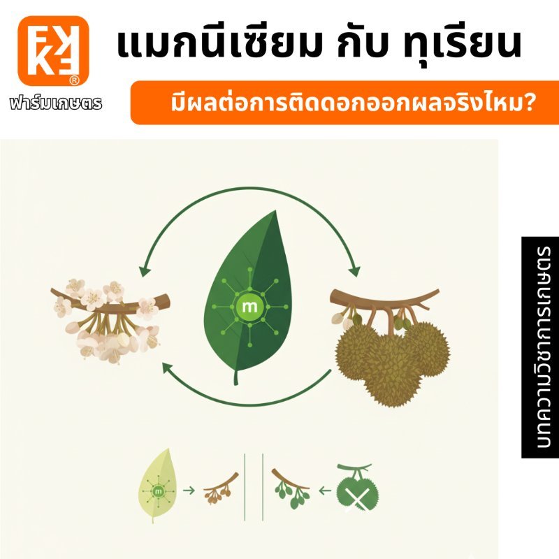 รูปภาพประกอบ