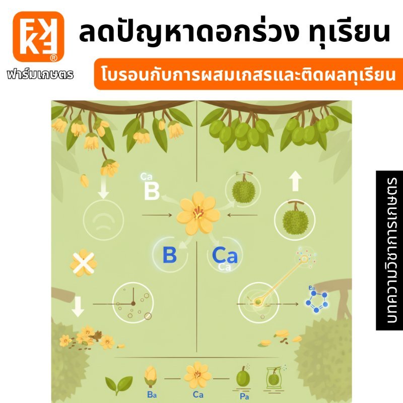 รูปภาพประกอบ