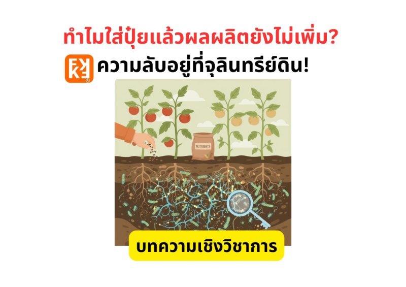 รูปภาพประกอบ