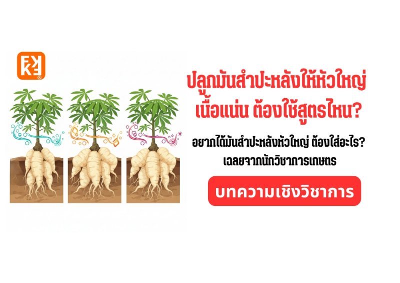 รูปภาพประกอบ