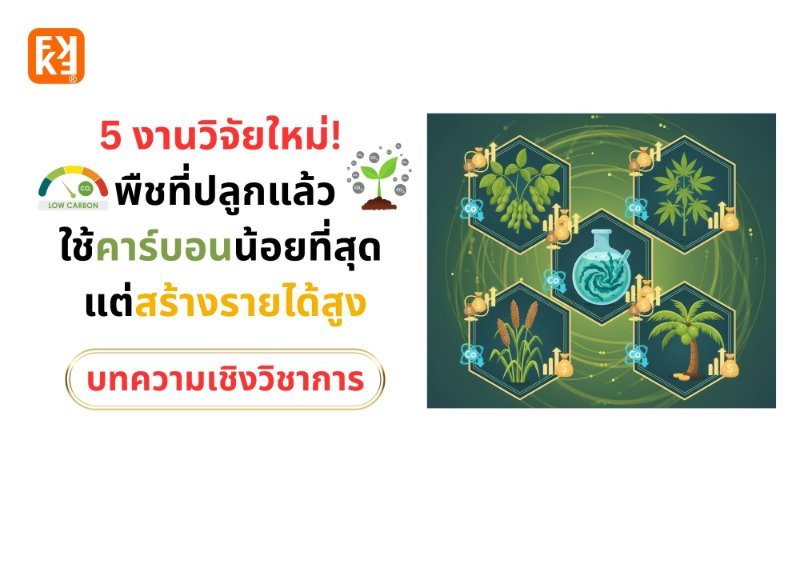 รูปภาพประกอบ