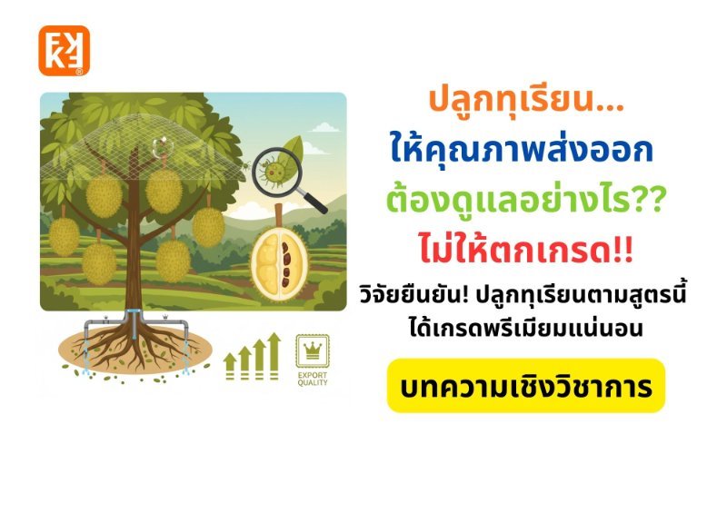 รูปภาพประกอบ