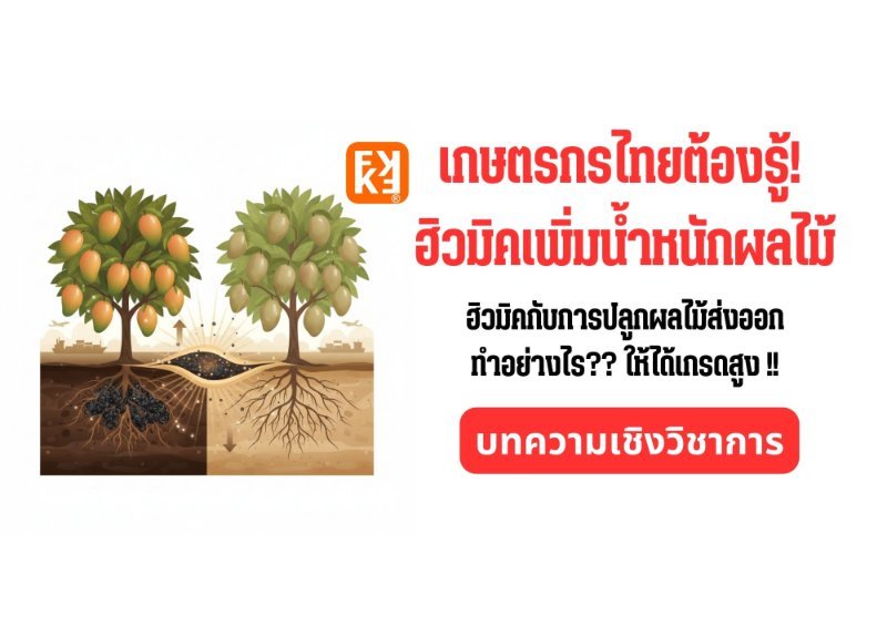 รูปภาพประกอบ