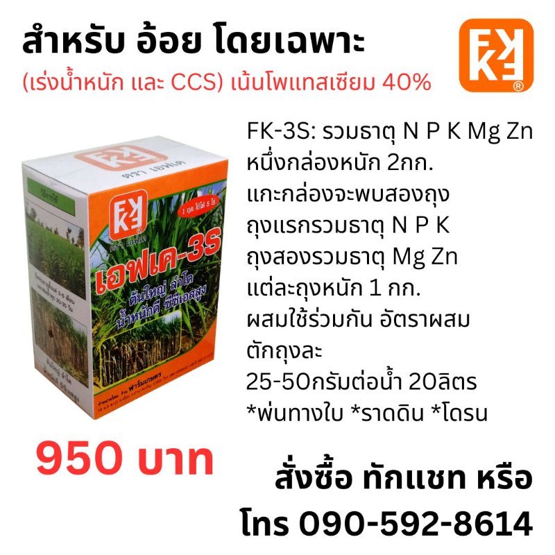 รูปภาพประกอบ