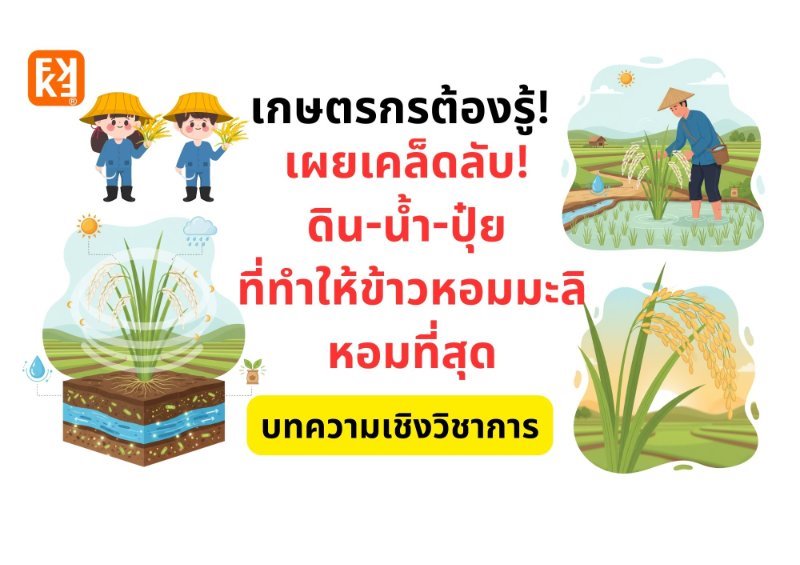 รูปภาพประกอบ