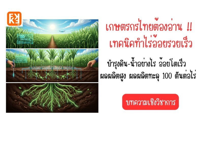 รูปภาพประกอบ