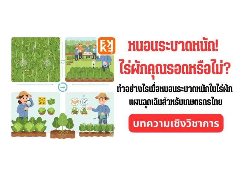 รูปภาพประกอบ