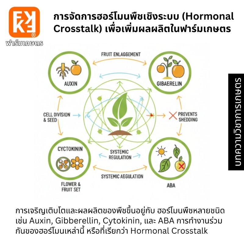 รูปภาพประกอบ