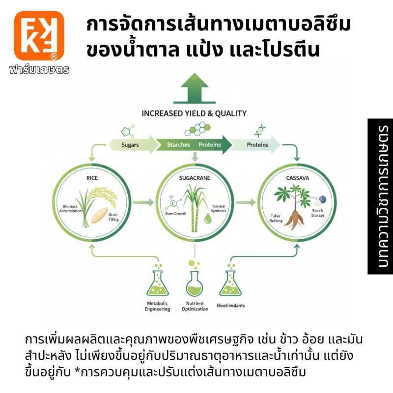 รูปภาพประกอบ