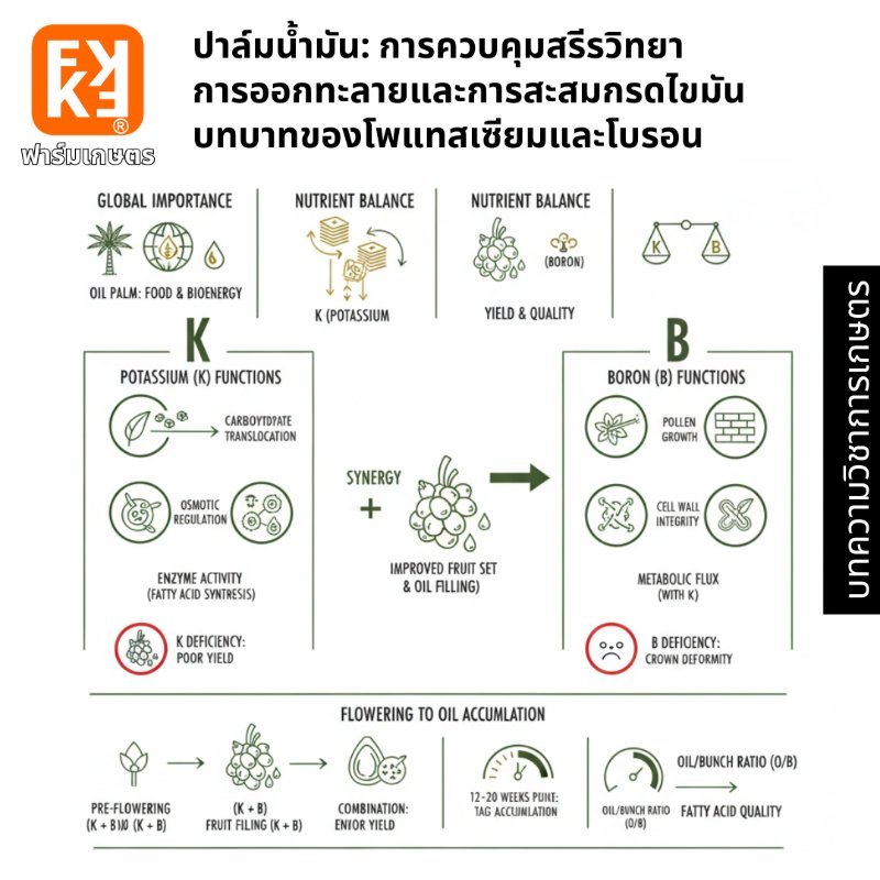 รูปภาพประกอบ
