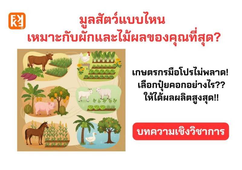 รูปภาพประกอบ