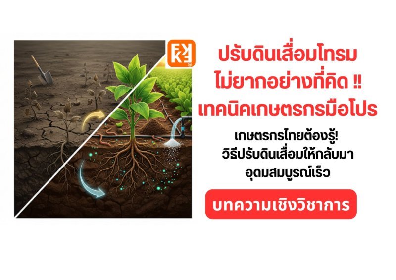 รูปภาพประกอบ