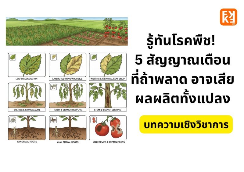 รูปภาพประกอบ
