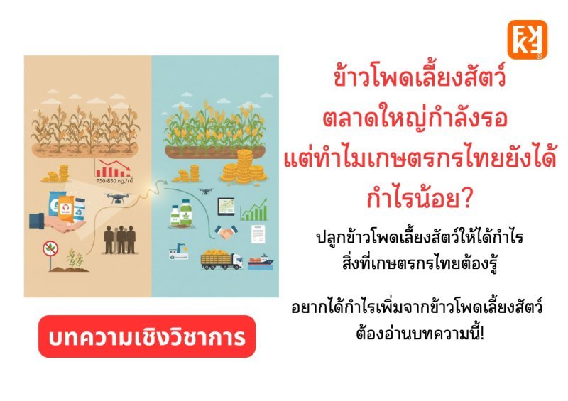 รูปภาพประกอบ