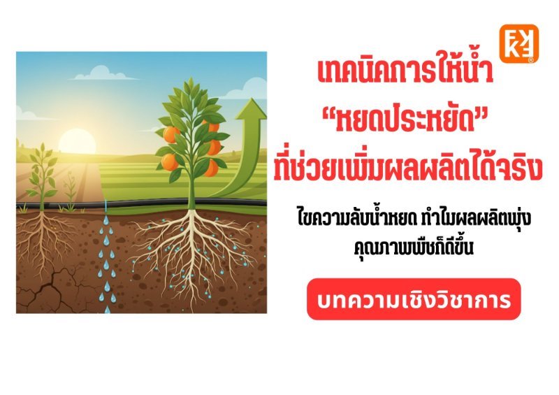 รูปภาพประกอบ