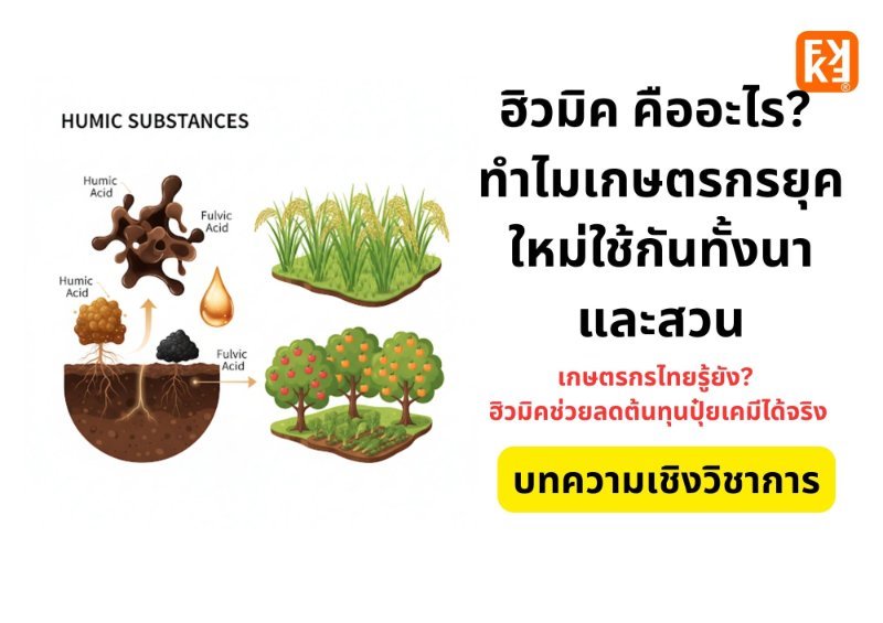 รูปภาพประกอบ