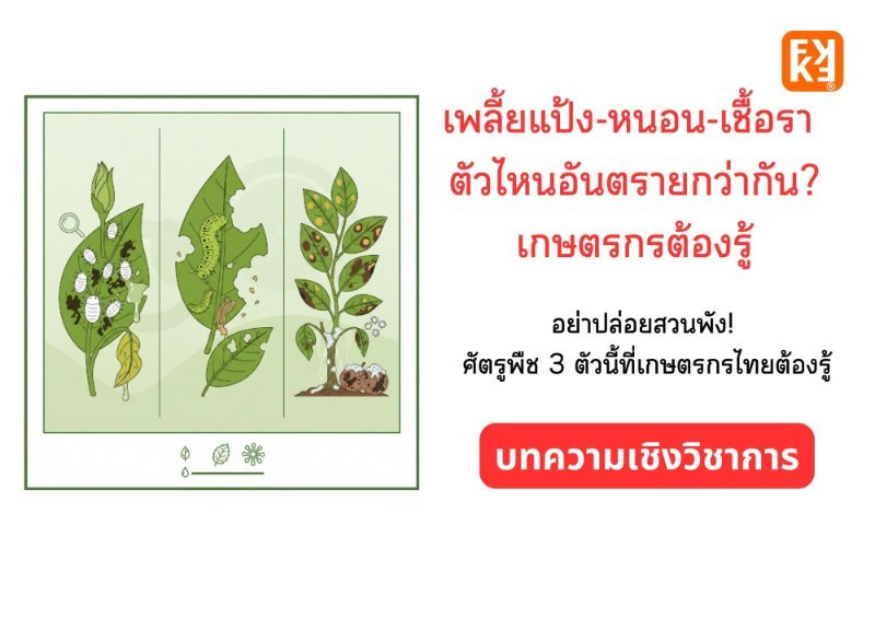 รูปภาพประกอบ