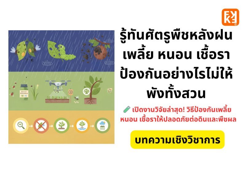 รูปภาพประกอบ