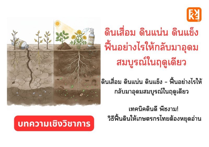 รูปภาพประกอบ