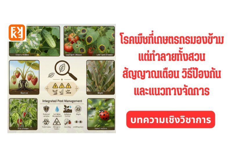 รูปภาพประกอบ