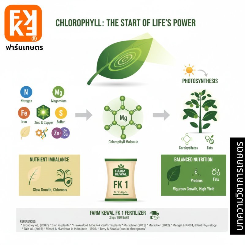 รูปภาพประกอบ