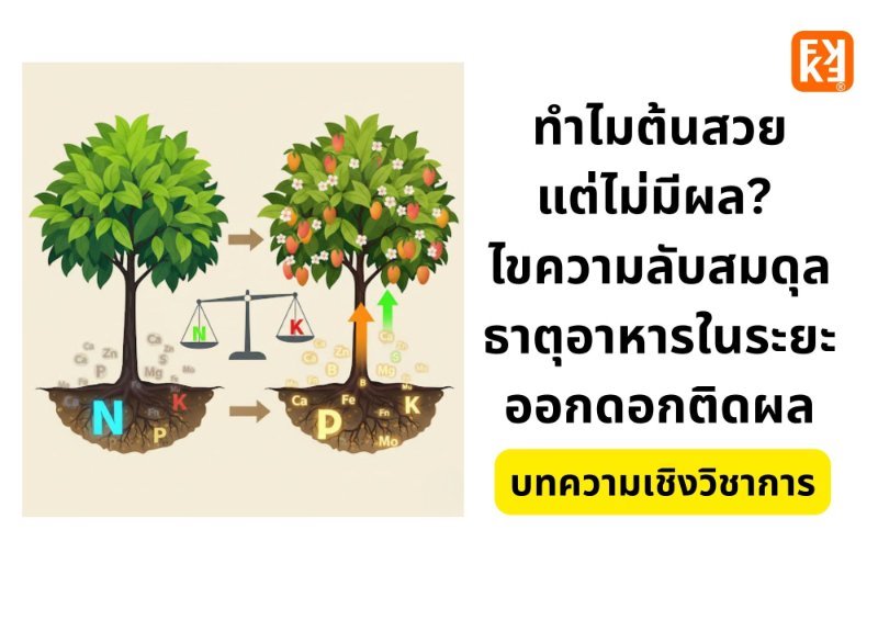 รูปภาพประกอบ