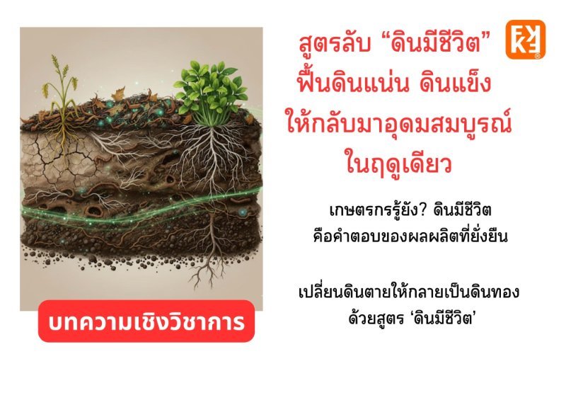 รูปภาพประกอบ