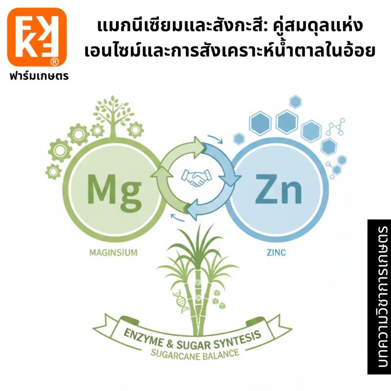 รูปภาพประกอบ