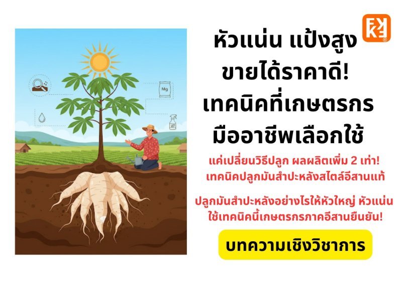 รูปภาพประกอบ