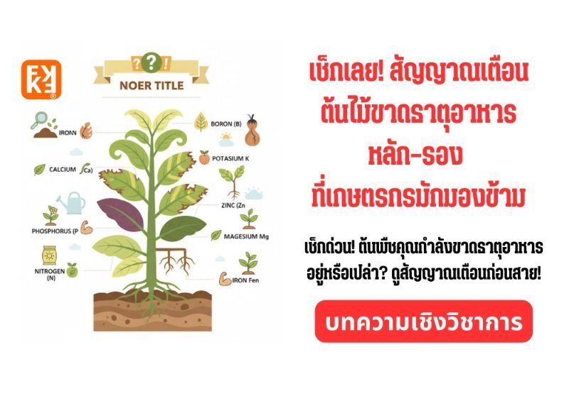 รูปภาพประกอบ