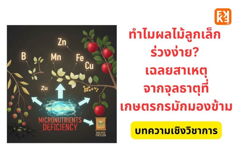 รูปภาพประกอบ