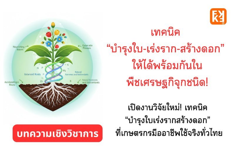 รูปภาพประกอบ