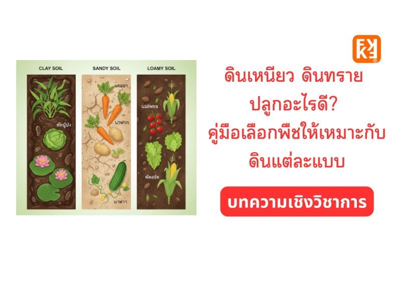 รูปภาพประกอบ