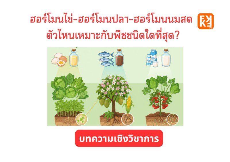 รูปภาพประกอบ