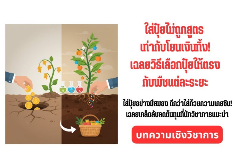 รูปภาพประกอบ