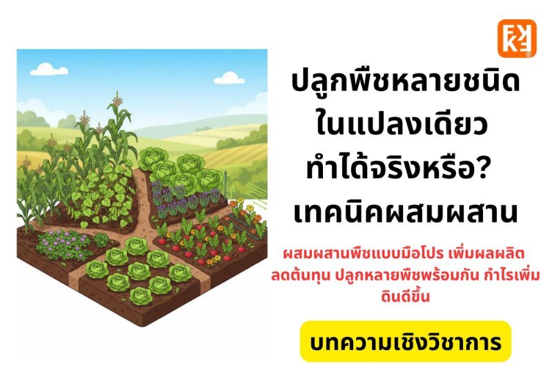 รูปภาพประกอบ