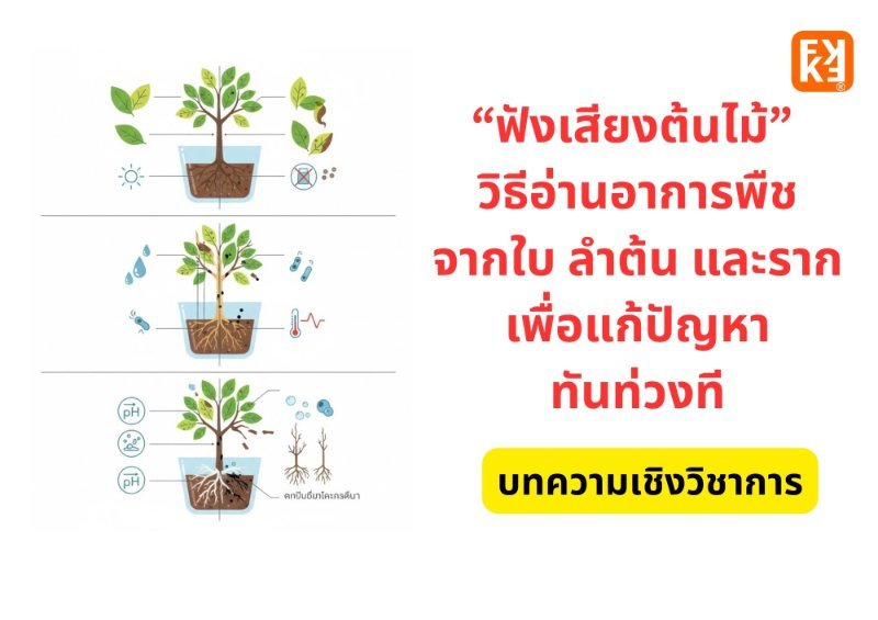 รูปภาพประกอบ