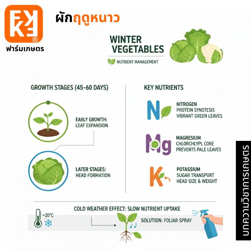 รูปภาพประกอบ