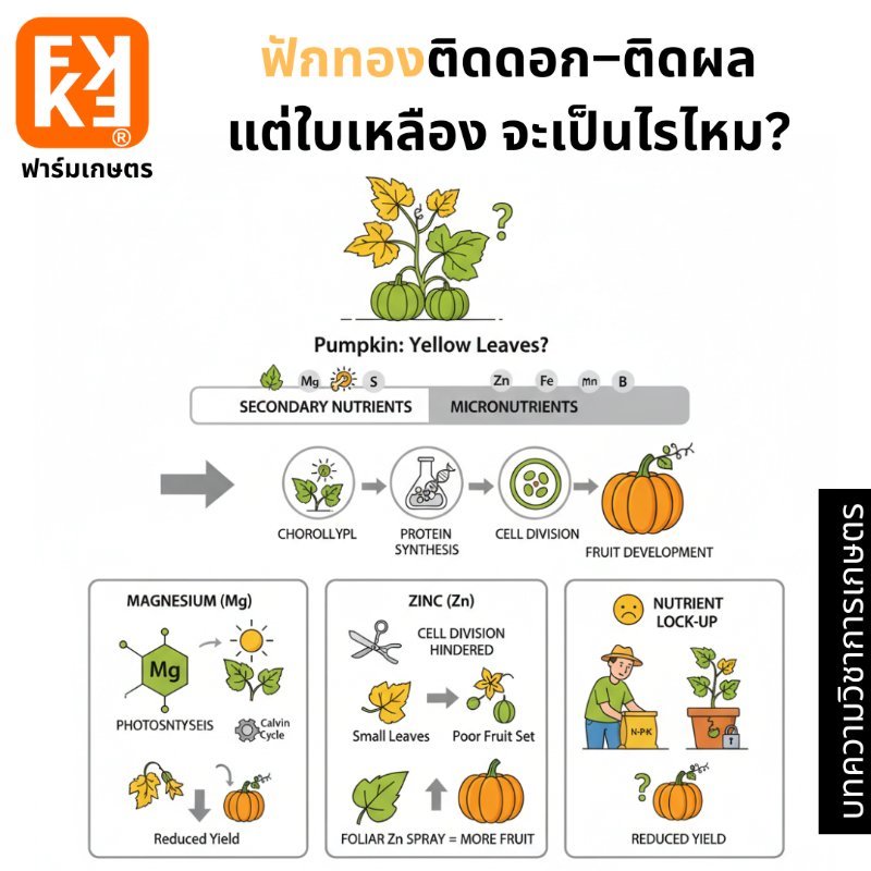 รูปภาพประกอบ