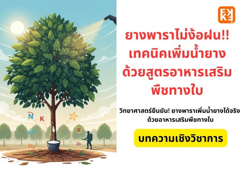 รูปภาพประกอบ