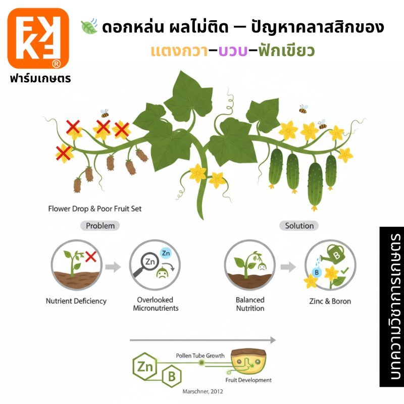 รูปภาพประกอบ