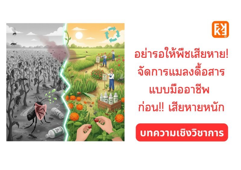 รูปภาพประกอบ