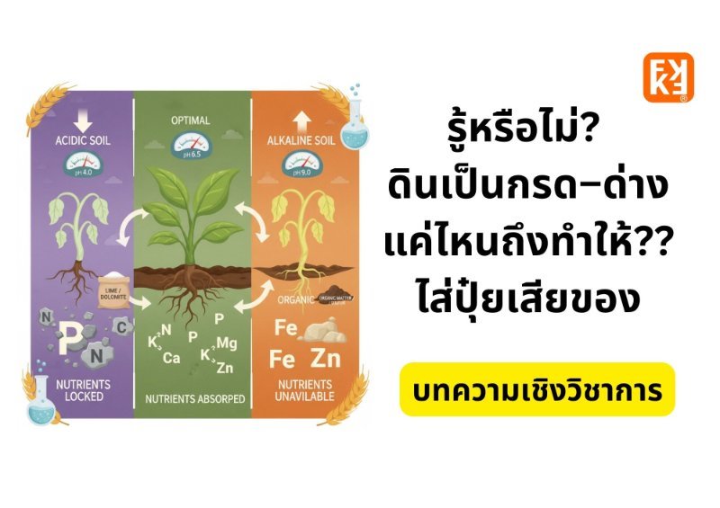 รูปภาพประกอบ