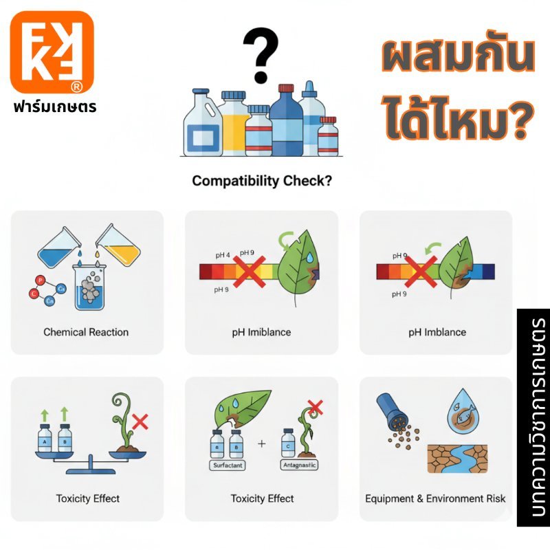 รูปภาพประกอบ