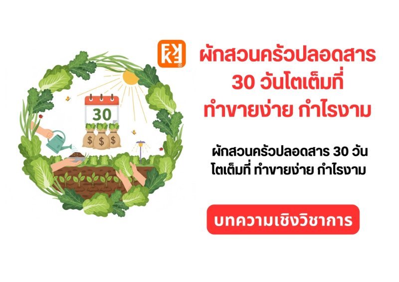 รูปภาพประกอบ