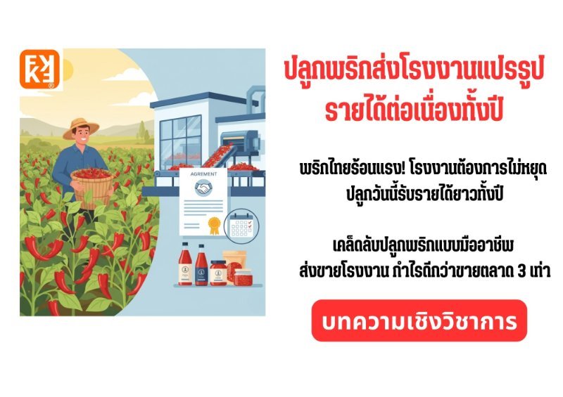 รูปภาพประกอบ