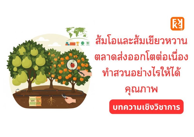 รูปภาพประกอบ